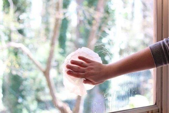 Image of a Coffee Filter cleaning a window